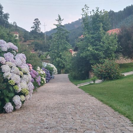 Cottage, Casa Do Laranjal - Near Герес Екстериор снимка