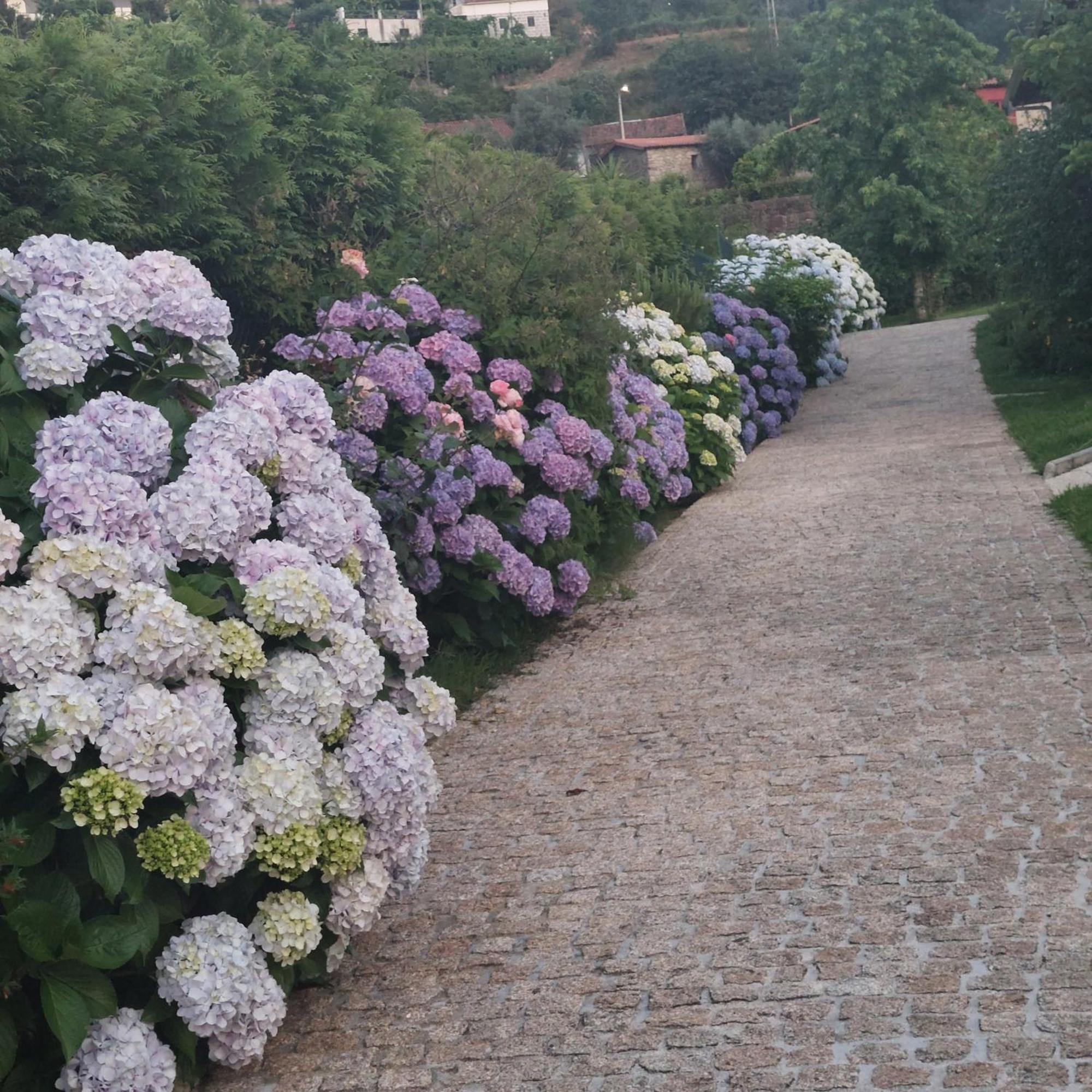 Cottage, Casa Do Laranjal - Near Герес Екстериор снимка